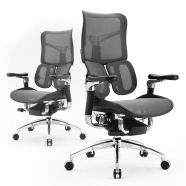 SIHOO Ergonomic Computer Chair Doro-S300 Mesh Office Chair 135-Degree Luxury Recline Chair with SIHOO Design Zero-Gravity Mechanism-6D Coordinated Armrests High-Back Desk Chair for 300 lbs-Black
