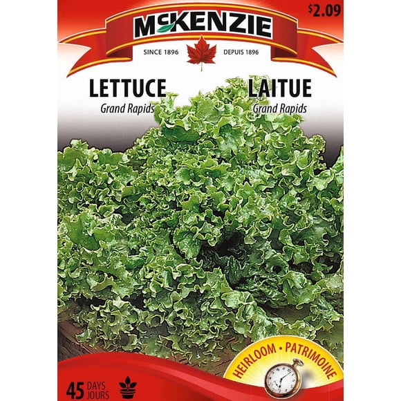 Heirloom Vegetable Seeds Collection