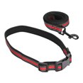 thumbnail image 2 of Collier d'Été pour Chien, Collier d'Automne Doux et Confortable Facile à Porter Antirouille Durable pour Chien Rouge, 2 of 8