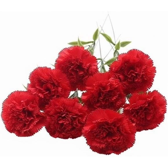 Artificial Carnation Flowers 20 Stems Red, Silk Carnations Bouquet for Wedding Home Office Garden Table Centerpiece Floral Arrangement