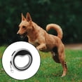 thumbnail image 5 of TIELUTT Automatic Retractable Dog Leash Extendable Pet with Escape Lock for Small & Medium Dogs Dog Leash Chain Chew Proof Two Dog Retractable Leash Small Dog Dog Leash Large Dogs Small Dog Training L, 5 of 5