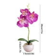 thumbnail image 3 of WRKEKC Clearance Fake Flowers Small Round Pot Phalaenopsis Three Flowers Bonsai Simulation Flower Arrangement Green Plant Simulation Potted Plants, 3 of 6