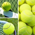 thumbnail image 4 of SharkTRUE High Elasticity Tennis Balls, 1-40 Pack Practice Tennis Balls for Training & Competition, Standard Size 2.5 Inches, Soft Rubber Tennis Balls for Beginners, Dogs, Pets, 4 of 8
