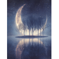 thumbnail image 1 of Mystical Moonlit Forest Canvas Wall Art 15.75x11.81 Inches, 1 of 8