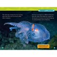 thumbnail image 5 of Alien Ocean Animals (National Geographic Kids Reader, Level 3), 5 of 5