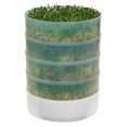 thumbnail image 2 of Victorio 4-Tray Seed Sprouter with Starter Kit, 2 of 4