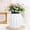 small indoor plant pots Under $5 a6, variant on Kadlawus Pumpkin Transparent Flower Pot for Indoor Plants, Self-Watering Hydroponic Planter, Clear Plastic Vase for Desktop, Living Room, Succulents, Herbs