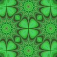 thumbnail image 1 of Ahgly Company Tapis d'Intérieur Lavable en Machine Carré Vert Lime, 8 Pieds Carré, 1 of 7