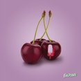 thumbnail image 3 of Fruttare® Black Cherry Frozen Fruit bar, 3 of 6