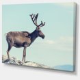thumbnail image 2 of Large Reindeer in Norway - Abstract Canvas Art Print, 2 of 3