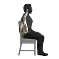 thumbnail image 2 of DR-HO'S Perfect Back Rest - Black, 2 of 2