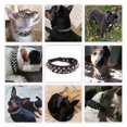 thumbnail image 5 of Spiked Pu Leather Dog Collar Soft Funny Mushrooms Rivet Spike Studded Puppy Adjustable Outdoor Dog Collars for Small Medium Large Dogs Cats, 5 of 5