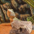 thumbnail image 4 of Realistic Fake Rock Covers for Outdoor Landscaping, Lightweight Artificial Decorative Rocks Made of Durable PU Foam, Perfect for Yard Garden Decor and Well Cover Concealment, 4 of 4