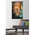 thumbnail image 3 of Tiger - Water Wall Poster, 22.375" x 34" Framed, 3 of 4