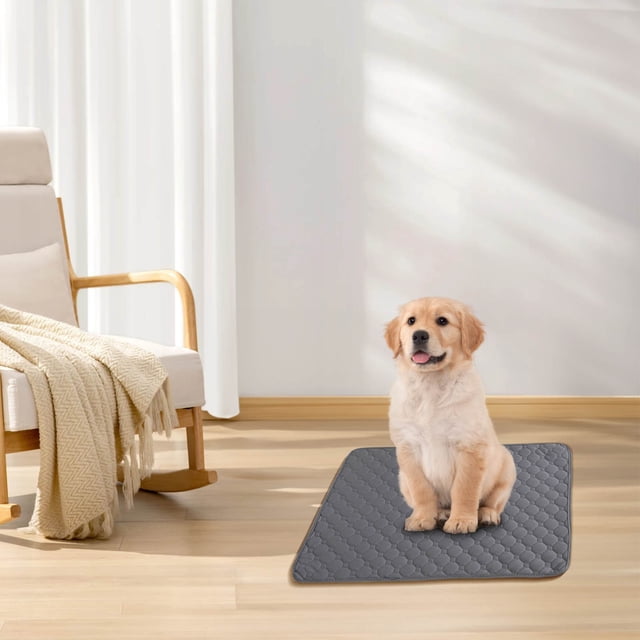 Thickened Pet Urine Pad For Deodorization And Instant Water Absorption Washable And Easy To Dry Reusable Dog Urine Pad And Urine Pad