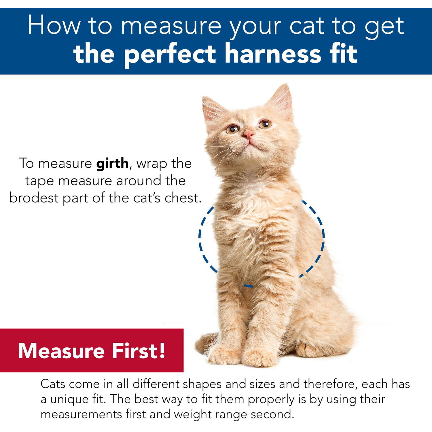 Pet Attire Réglable "H" Harnais pour Chat & Ensemble Laisse pour Chat de 6'