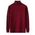 thumbnail image 1 of Chandail à Col Roulé pour Homme Coupe Régulière Basique Manches Longues T-Shirts Couleur Unie Tricot d'Automne Chandail Décontracté, 1 of 4