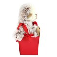 thumbnail image 3 of Way to Celebrate Valentine’s Day  Plush Toy In Gift Box, Monkey, 3 of 4