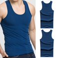 thumbnail image 2 of Ketyyh-chn99 Débardeurs pour Hommes Chemises pour Hommes Débardeur T-Shirt Sans Manches Col Rond Haut de Fête B,L, 2 of 5