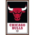 thumbnail image 1 of NBA Chicago Bulls - Logo 21 Wall Poster, 22.375" x 34" Framed, 1 of 4