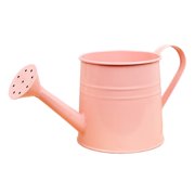 FEISHENTT Metal Watering Can for Outdoor Plants, Galvanized Steel Watering Can with Removable spout