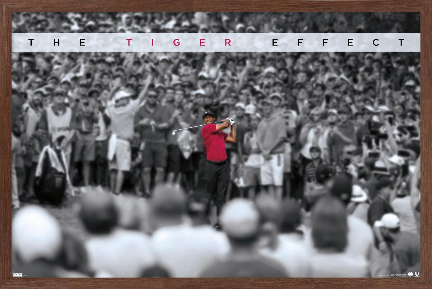 Tiger Woods - The Tiger Effect Wall Poster, 22.375" x 34"