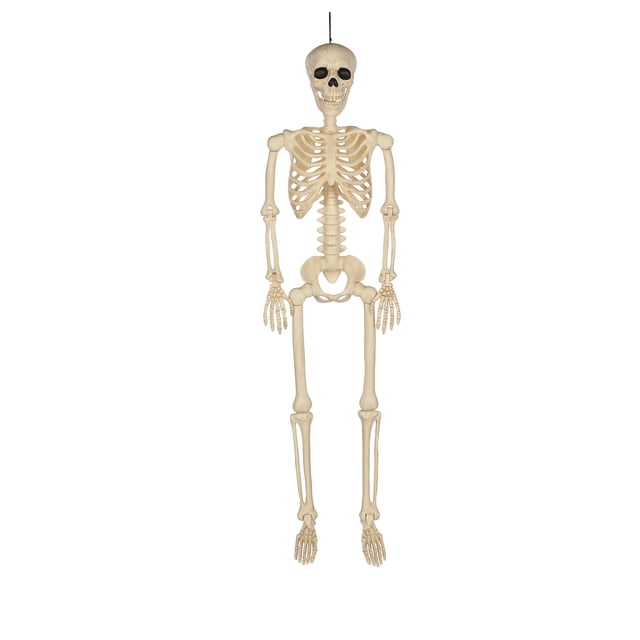 Squelette d’Halloween articulé de 36 po (91,44 cm)