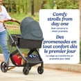 thumbnail image 3 of Graco Modes Trio Travel System, 3-in-1 Baby Stroller and Car Seat Combo, Rear-Facing from 1.8-16 kg (4-35 lb), 3 of 8
