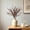 Coffee#3, variant on Artificial Coral Grass Bunch Natural Look Faux Foliage for Home Vase Wedding Party Boho Decor, 17.72 x 5.91 in