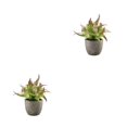 thumbnail image 3 of Decodeary Green Eco-friendly Artificial Money Tree In Pot Long-lasting Durability Realistic Appearance purple rose 2Set, 3 of 6