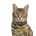 thumbnail image 2 of Étiquette intelligent d'animal de compagnie Pawscout, 2 of 5