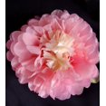 thumbnail image 2 of 14" Pink Multi-Color Tissue Paper Flower Pom Pom Decoration (3-Packs), 2 of 4