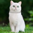 thumbnail image 3 of Collier pour Chat en Cuir PU avec Strass, Ajustable, Bling, pour Chats et Petits Animaux de Compagnie, Confortable et Durable, 3 of 3