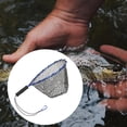 thumbnail image 4 of jinwen Eau Salée Eau Douce Libération Bleu, 4 of 8