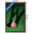 thumbnail image 2 of Wicked - Fiche d'introduction, 2 of 4