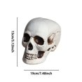 thumbnail image 3 of Yhmxh Halloween Decorations,Party Favors,Halloween Skeletons Plastic Realistic Fake Simulation Human Skull HeadBone Model Halloween Prop Realistic Mini Skeleton Spooky Halloween Decoration, 3 of 5