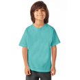 thumbnail image 1 of Hanes T-Shirt à Manches Courtes Col Ras du Cou ComfortWash pour Garçons, m, Menthe, 1 of 1