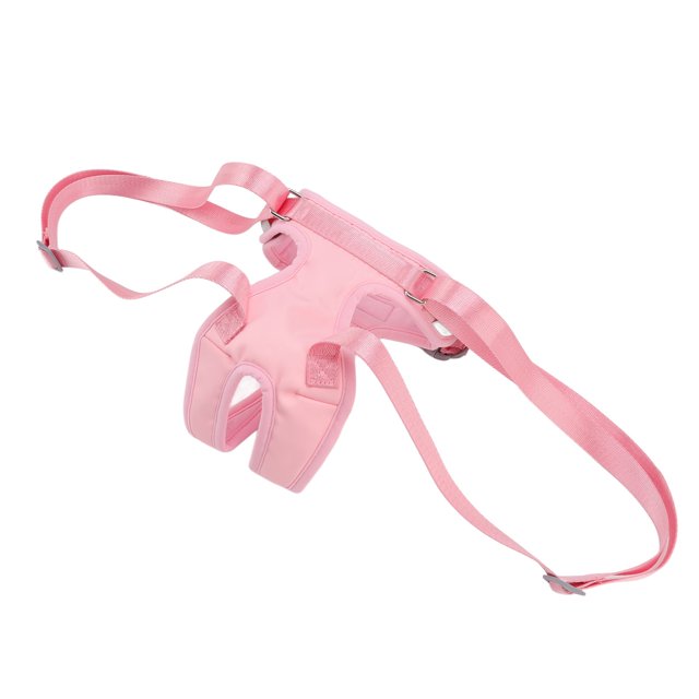 Harnais de Levage pour Chien Dorsal Ajustable, Sûr et Confortable, Chiot, Soutien de Jambe Arrière, Écharpe, Gilet pour Réadaptation des Aînés