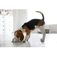 thumbnail image 3 of Van Ness Stainless Steel No Tip Bowl .47L, 3 of 3