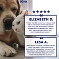 thumbnail image 1 of Eqyss Micro-Tek Pet Shampoo, 16 Oz, 1 of 6