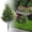 Green 1Pack, variant on Flowers Indoor Outdoor Home Décor Embellishments Featuring Small Coral Trees for Garden Porch Centerpiece Use, 50 cm, Green 1Pack