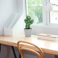 thumbnail image 4 of OULII Faux Cactus Bonsai Mini Cactus Bonsai Plastic Easy to Maintain Living Room 1Pack, 4 of 8