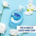 thumbnail image 3 of Pompe de savon liquide pour les mains Softsoap Fresh Breeze, 3 of 5