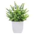 thumbnail image 3 of Bgsha Home Decor Small Lavender Eucalyptus Plant in Pot with Realistic Design, 3 of 10
