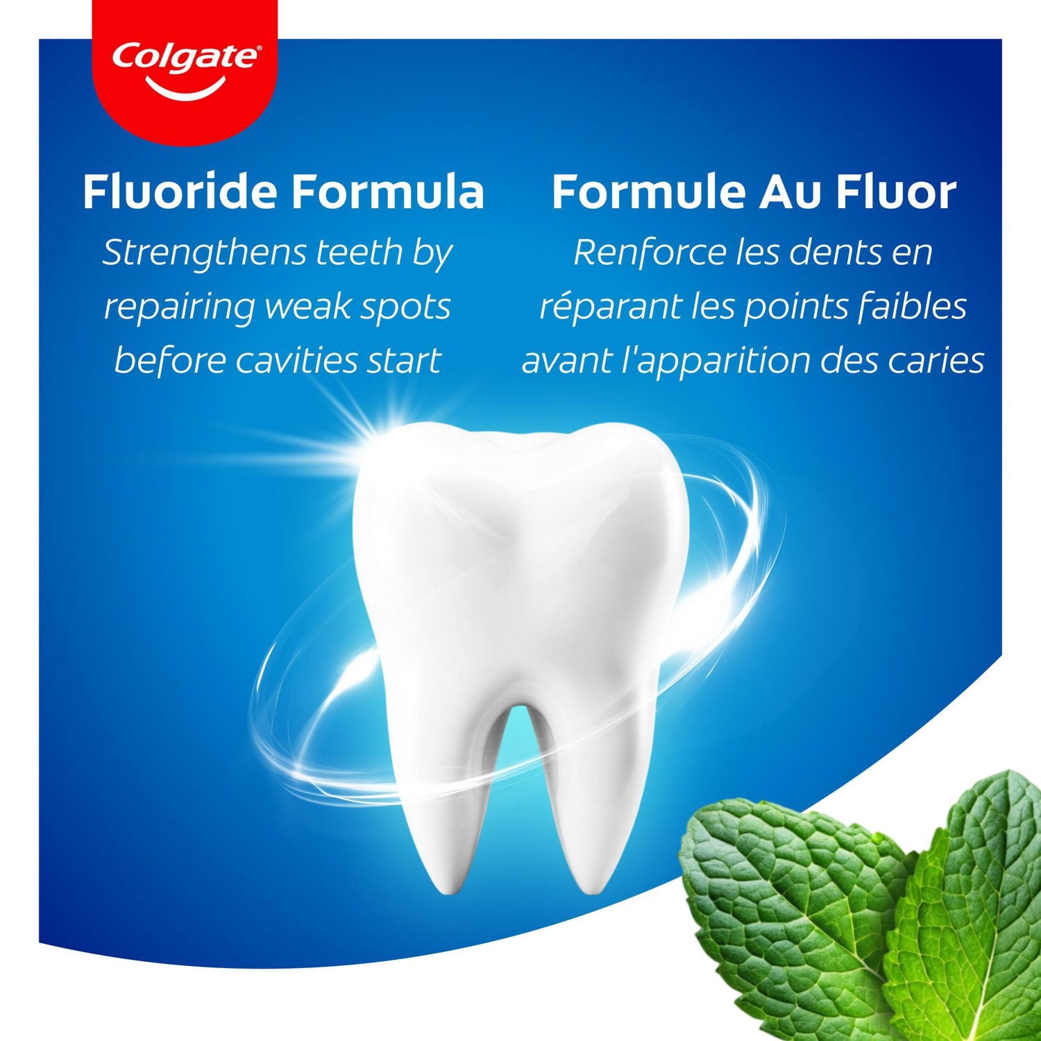 Colgate Dentifrice au Fluor Protection Anticaries, Régulier 95ml