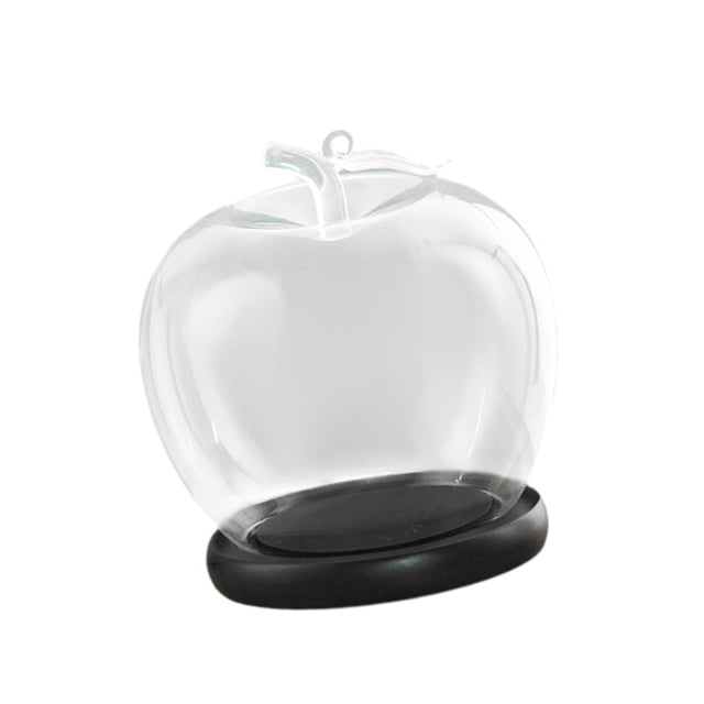 simhoa Clear Glass Dome Jar Empty Display for Collectibles Keepsakes Tabletop Shelf Black