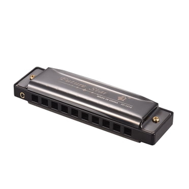 Key of C Diatonic Harmonica Mouthorgan with ABS Reeds Mirror Surface Design 10 Holes Blues