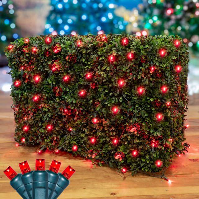 Novelty Lights 4x6 Red LED Net Lights, 100 Outdoor Christmas Mesh Lighting