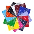 thumbnail image 1 of Douzaine de Bandanas Paisley Multicolores Ensemble Bandana de Cowboy Foulard pour la Tête Double Face, 1 of 9