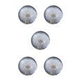thumbnail image 2 of Baohd Exquisite Flower Crystal Ball Adding Elegance To Space Easily Portable Dandelions 6cm 5Set, 2 of 6